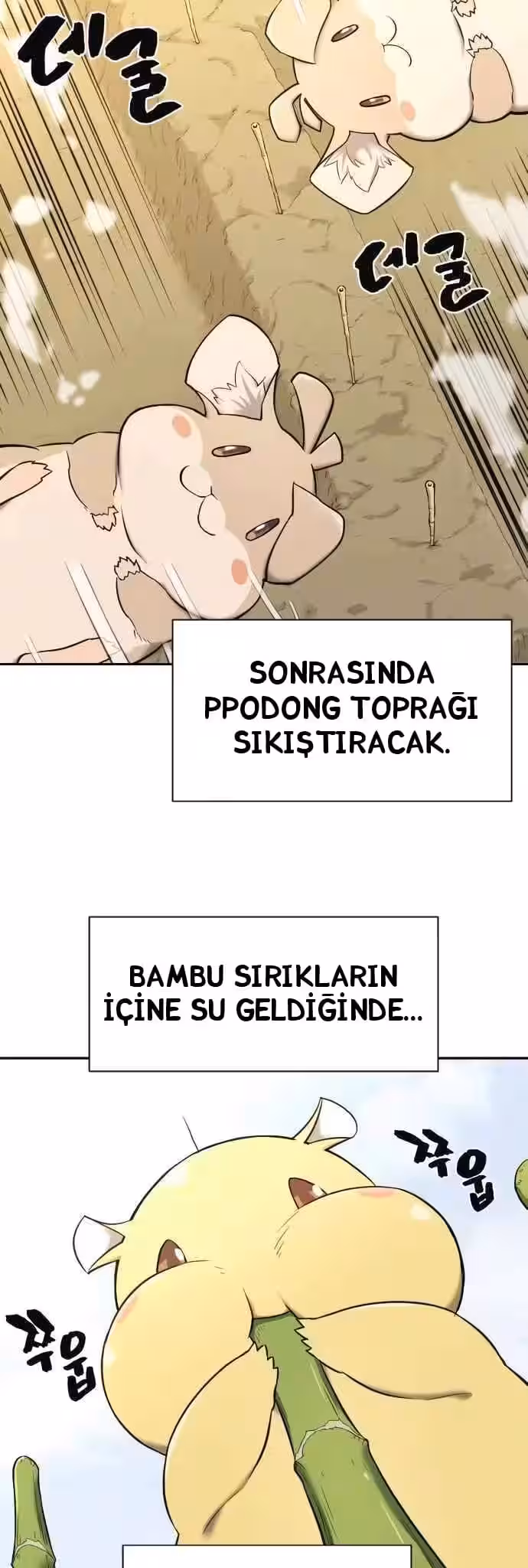 Sayfa 29 — Bölüm 20 — Dünyadaki En İyi Mühendis
