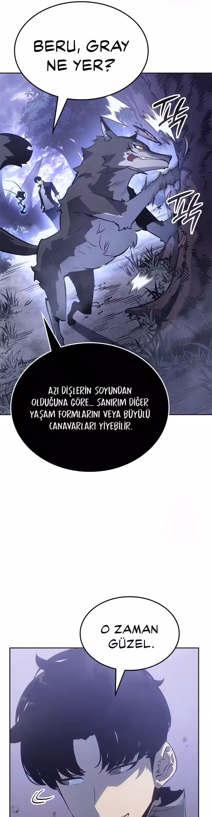Sayfa 29 — Bölüm 14 — Yalnız Seviye Atlama: Tanrıların Alacakaranlığı