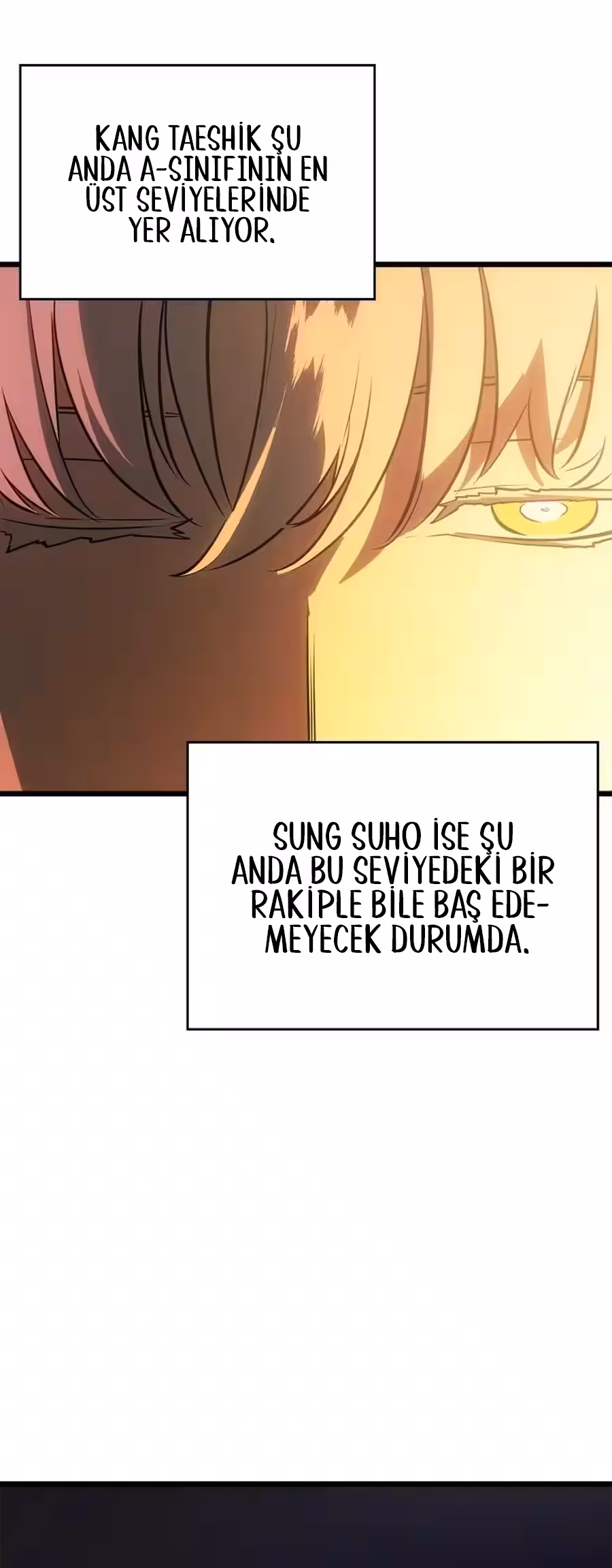 Sayfa 14 — Bölüm 52 — Yalnız Seviye Atlama: Tanrıların Alacakaranlığı