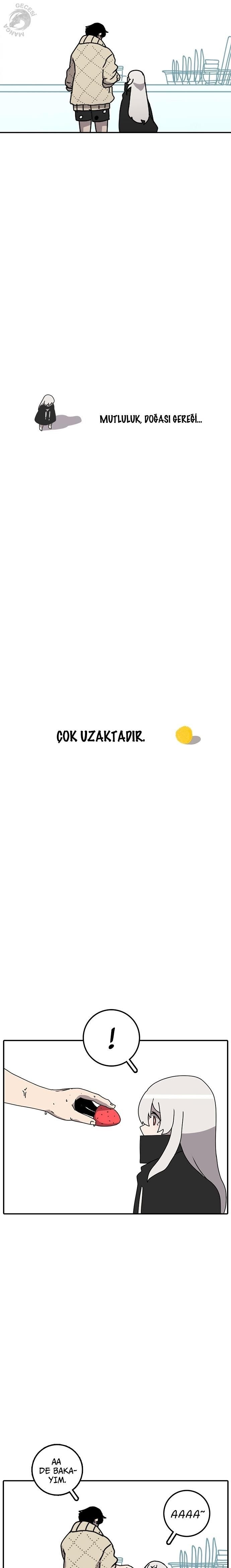 Sayfa 16 — Bölüm 30.1 — Zamansız Ev