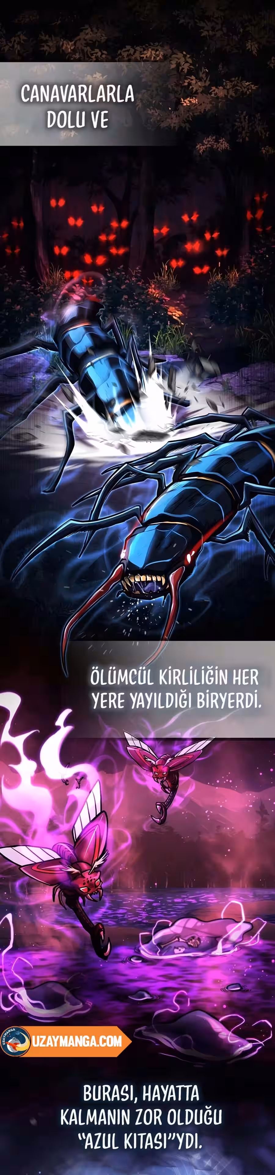 Sayfa 32 — Bölüm 2 — Lisanssız Doktor