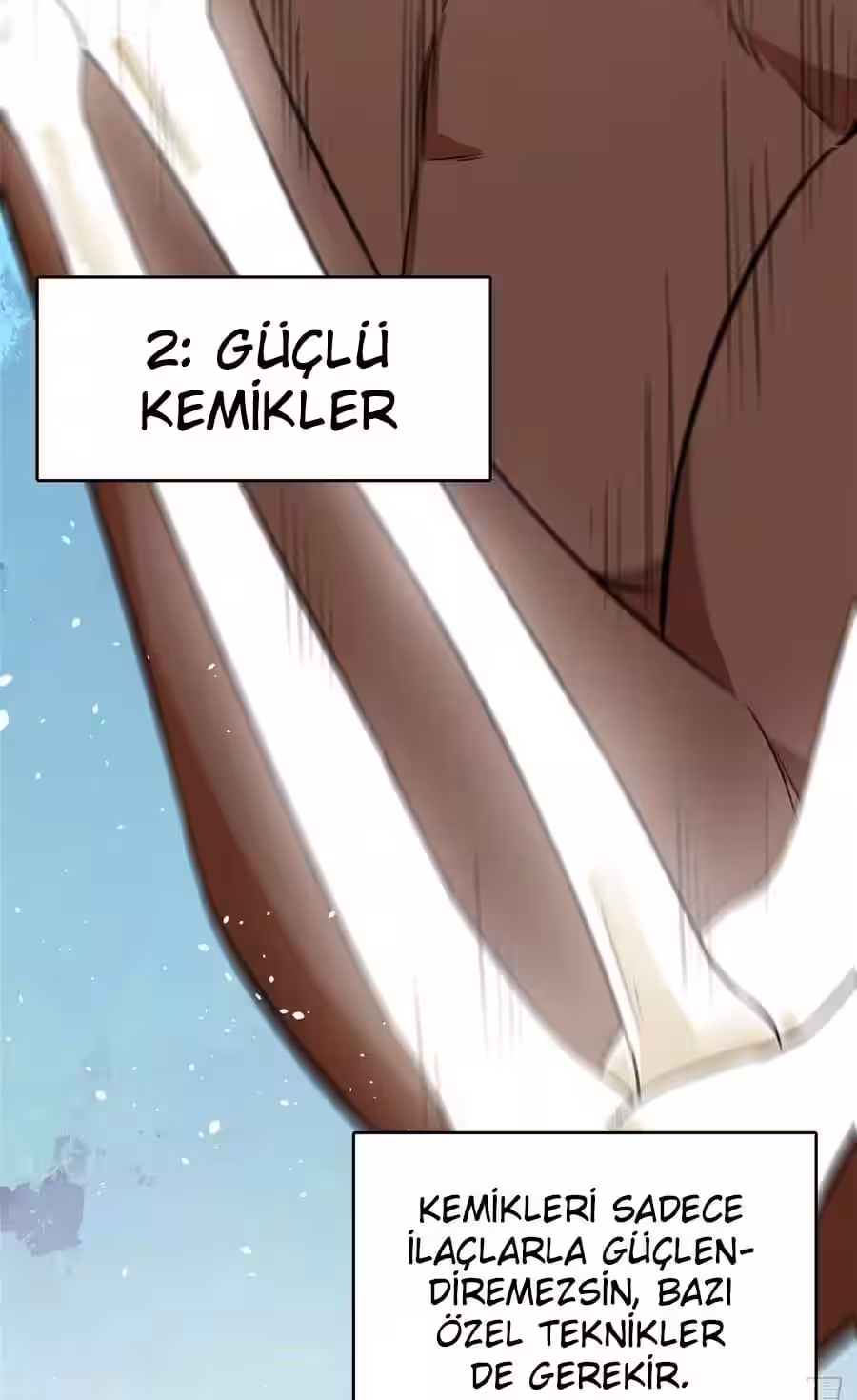 Sayfa 33 — Bölüm 11 — Sistemli Dövüş Tanrısının Yükselişi