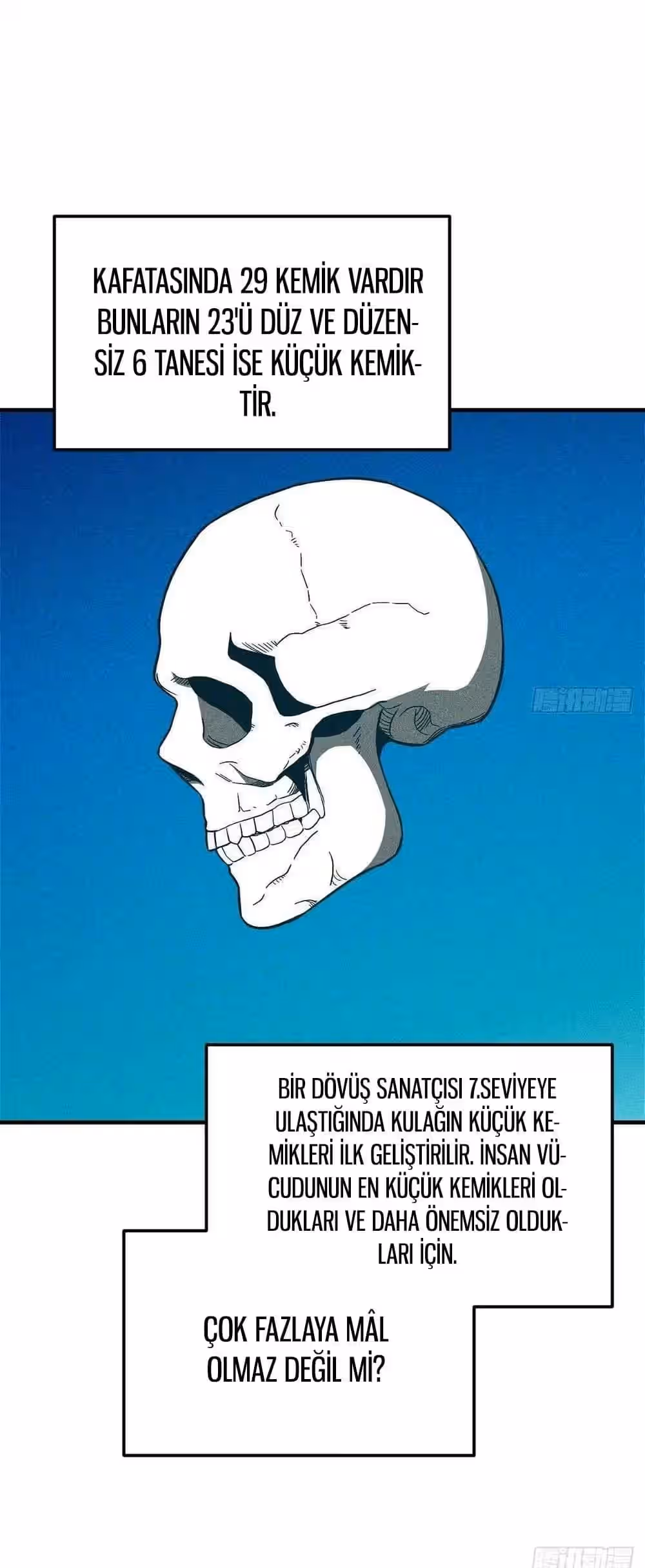 Sayfa 8 — Bölüm 213 — Sistemli Dövüş Tanrısının Yükselişi
