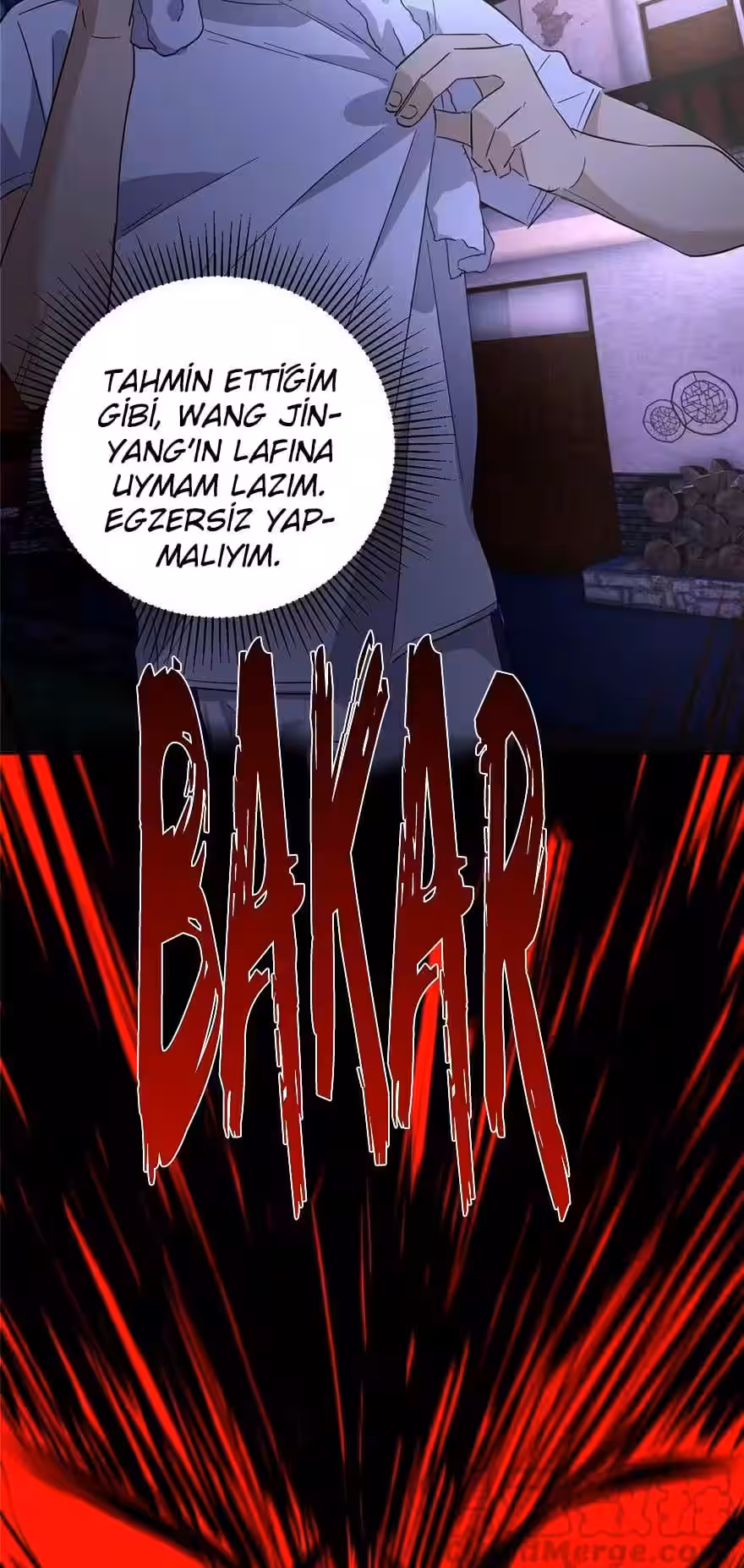 Sayfa 27 — Bölüm 5 — Sistemli Dövüş Tanrısının Yükselişi