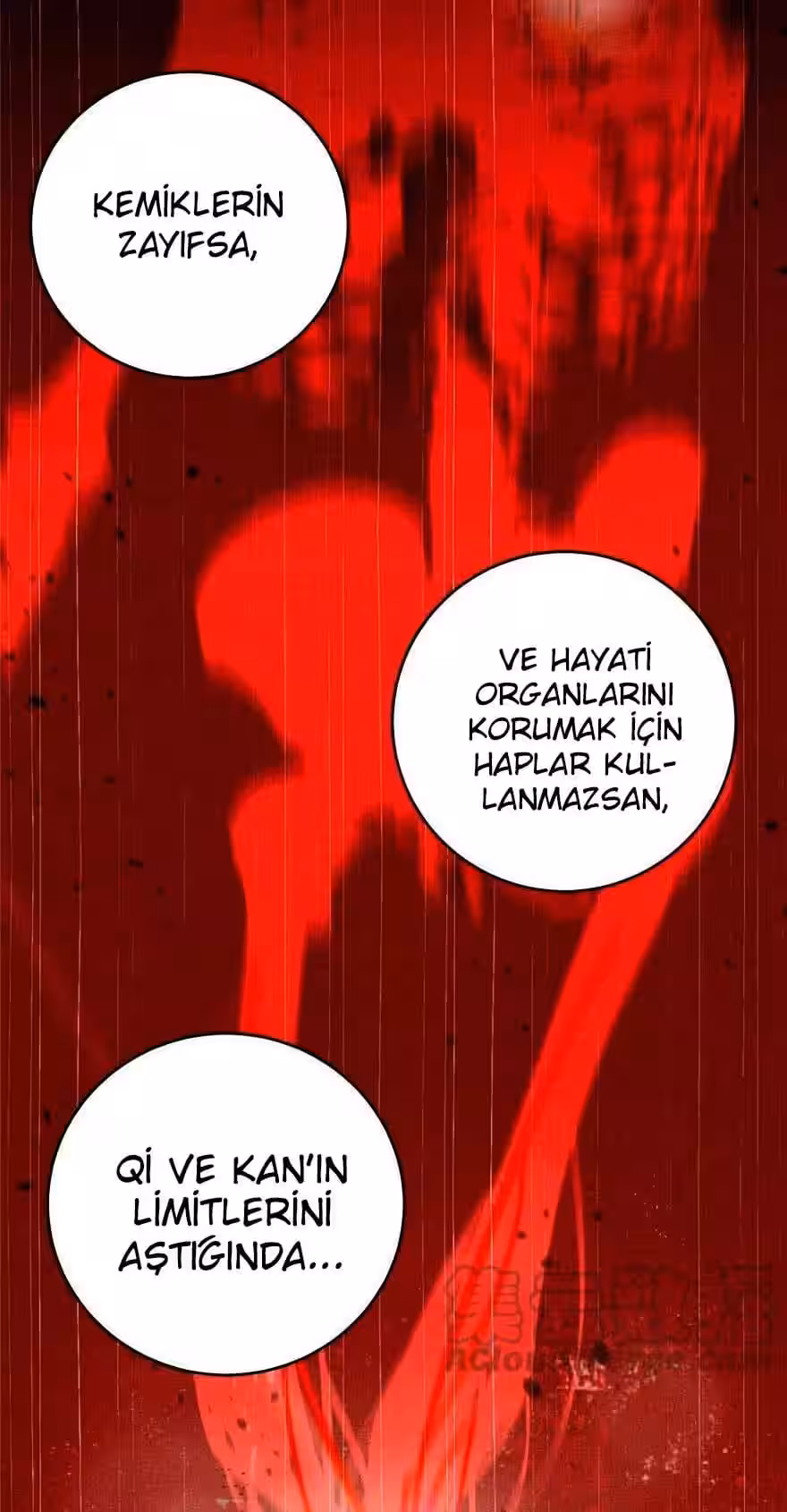 Sayfa 11 — Bölüm 9 — Sistemli Dövüş Tanrısının Yükselişi