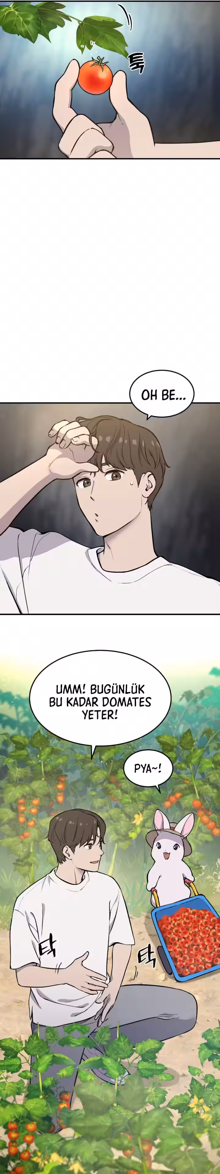 Sayfa 10 — Bölüm 1 — Kule Çiftçisi