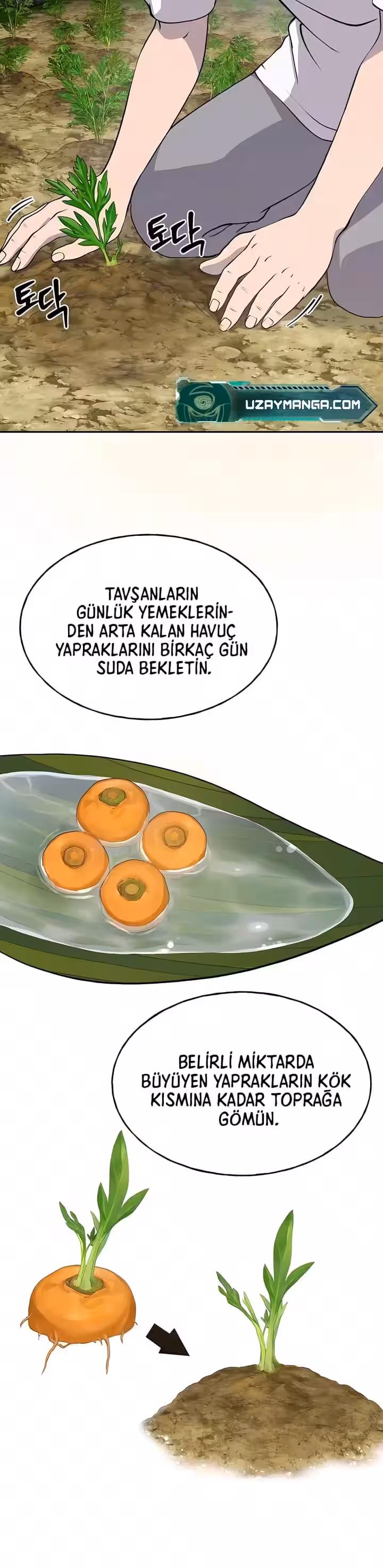 Sayfa 4 — Bölüm 22 — Kule Çiftçisi