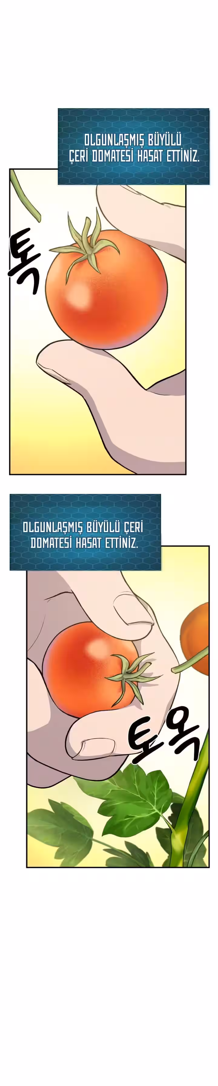 Sayfa 30 — Bölüm 6 — Kule Çiftçisi