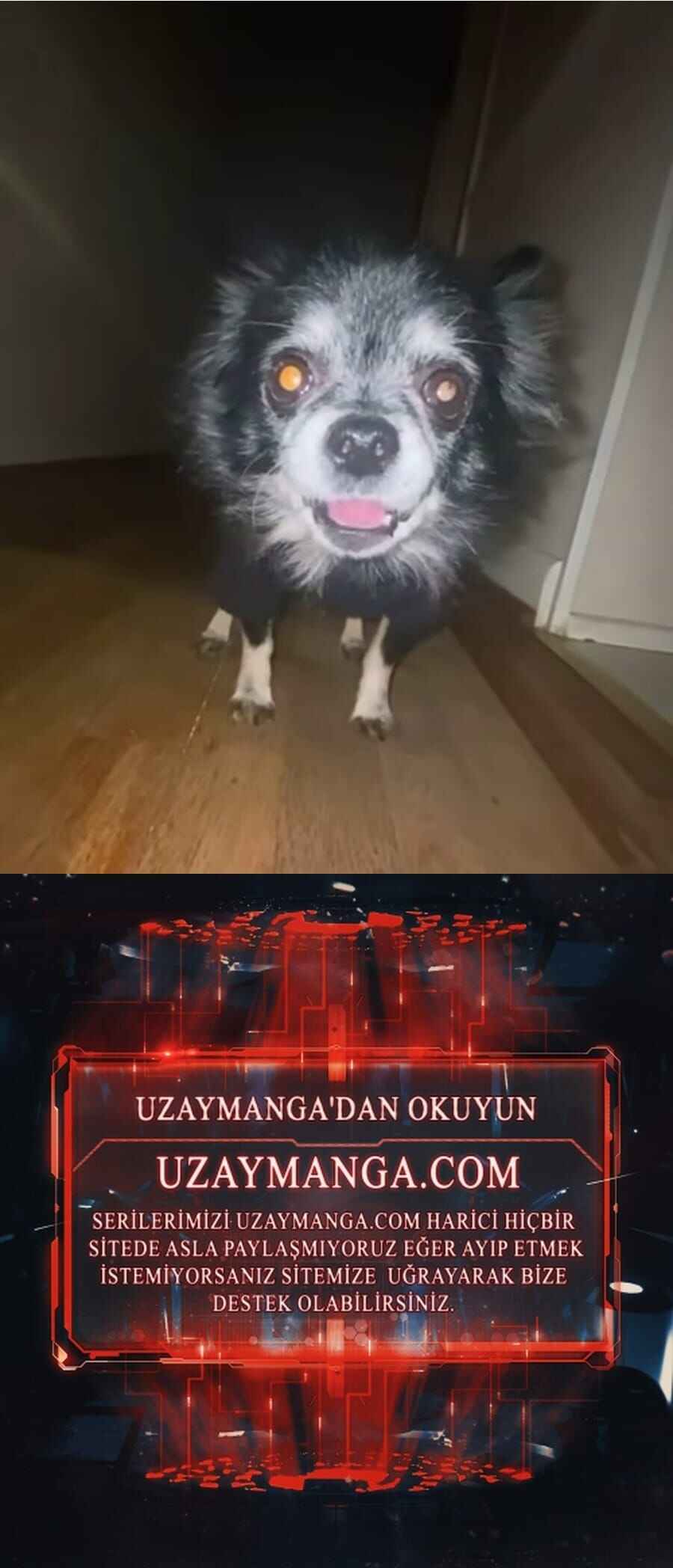 Sayfa 98 — Bölüm 60 — Kule Çiftçisi