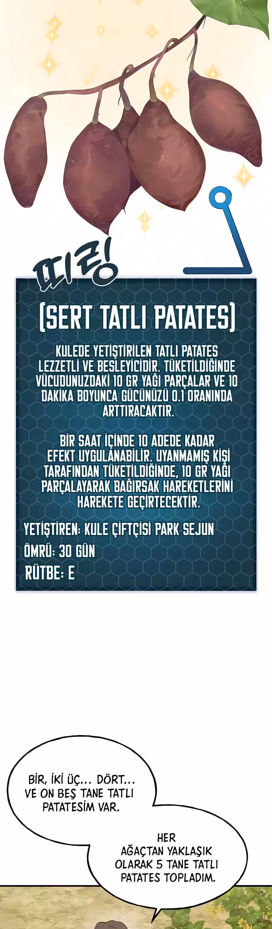 Sayfa 35 — Bölüm 8 — Kule Çiftçisi