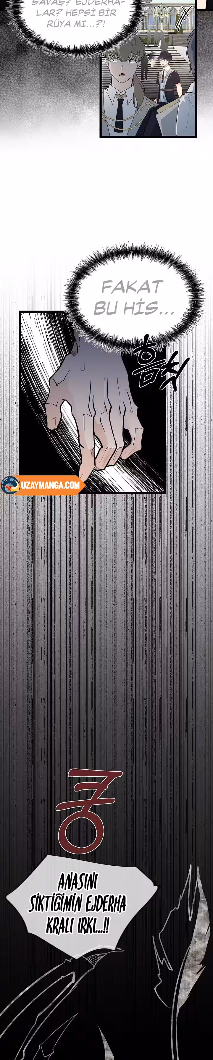 Sayfa 11 — Bölüm 1 — Akademinin En Ateşli Küçük Kardeşi
