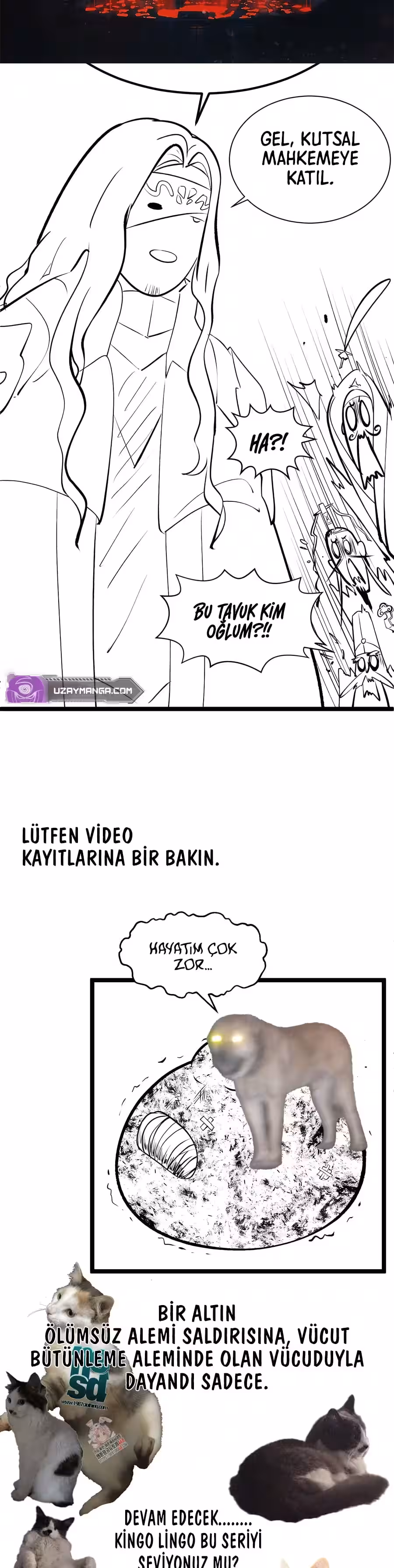 Sayfa 43 — Bölüm 225 — Kaderin Zirve Noktası