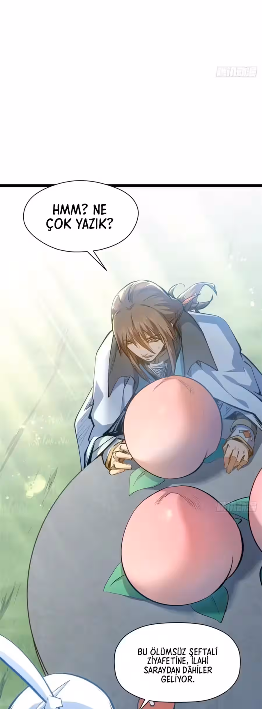 Sayfa 31 — Bölüm 241 — Kaderin Zirve Noktası