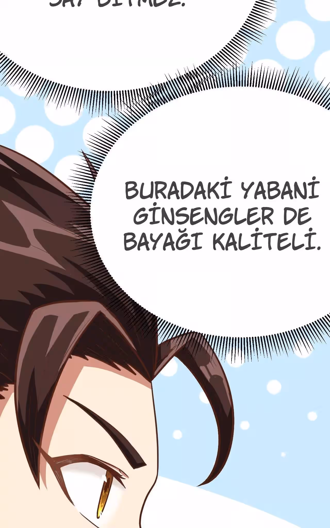 Sayfa 14 — Bölüm 93 — Bugünden Sonra Şehir Lordu Benim