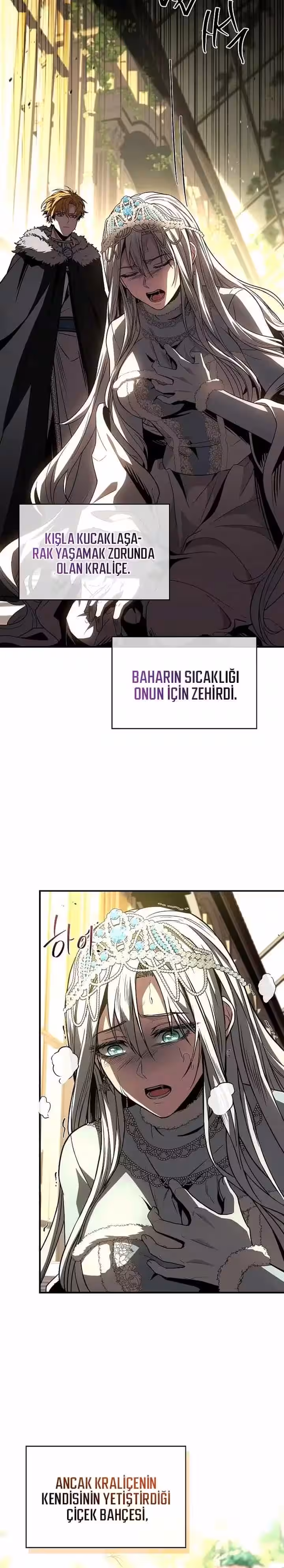 Sayfa 15 — Bölüm 81 — Yetenek Yutan büyücü